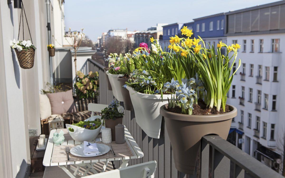 Color y vida en tu balcón con estos tips de decoración